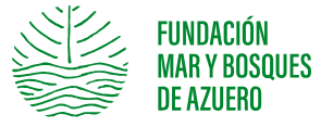 Logo Organización Colaboradora